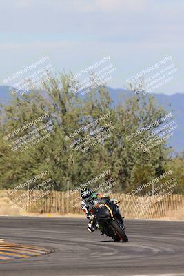 media/Feb-04-2024-SoCal Trackdays (Sun) [[91d6515b1d]]/2-Turn 3 (1015am)/